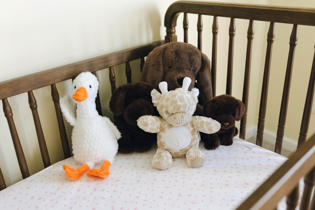 nursery details at newborn session in wilmington north carolina